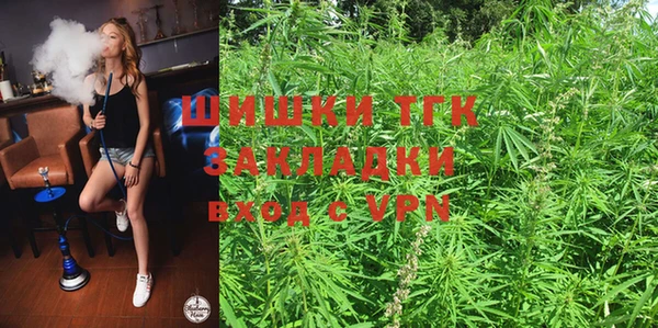 дурь Богданович