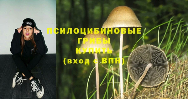 дурь Богданович