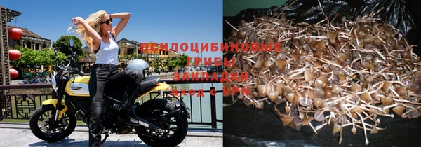 PSILOCYBIN Богородицк