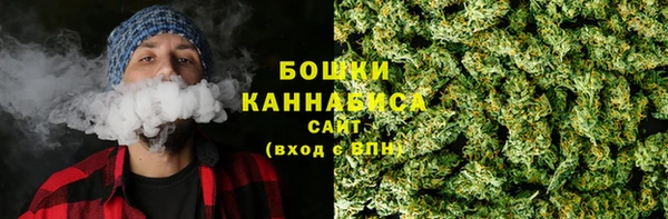 PSILOCYBIN Богородицк