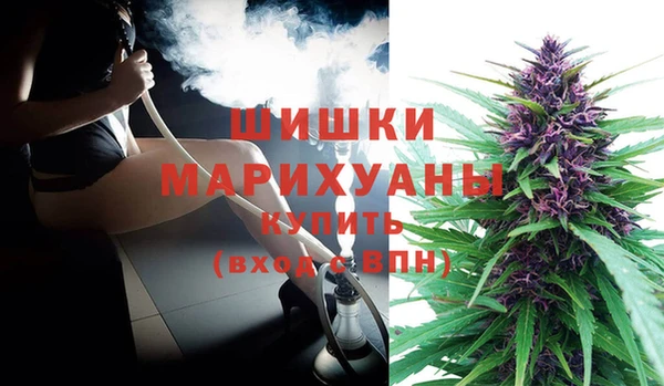 PSILOCYBIN Богородицк
