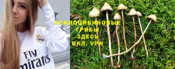 PSILOCYBIN Богородицк