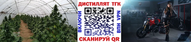 MEGA как зайти  Иркутск  Дистиллят ТГК гашишное масло 